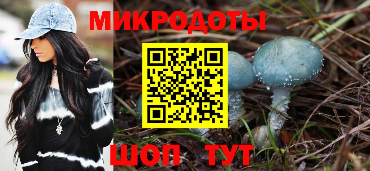 Галлюциногенные грибы Magic Shrooms Гатчина