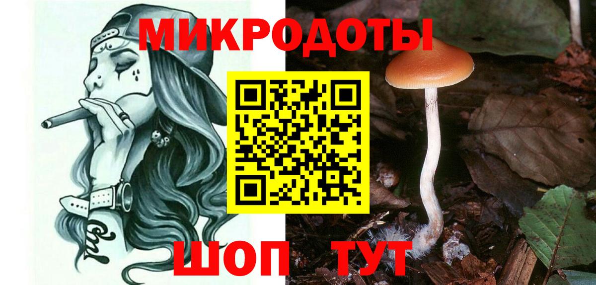 Псилоцибиновые грибы мицелий  Вход с VPN  Гатчина 